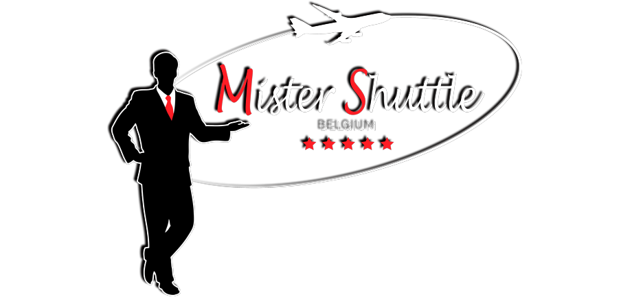 big logo